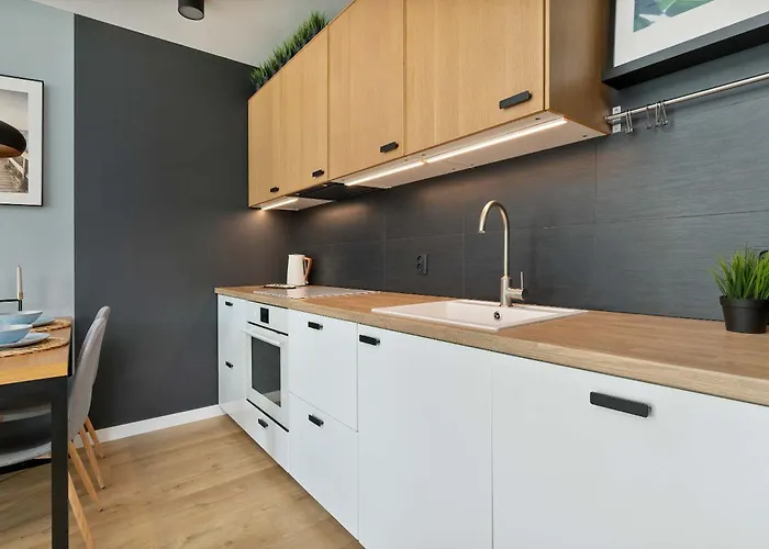 Chmielna Riverside Premium With Parking In The Centre By Renters Apartman *