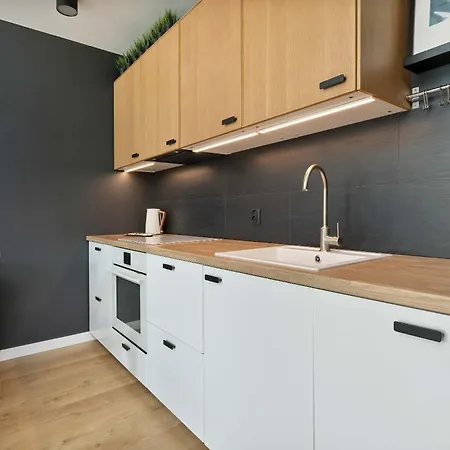 Chmielna Riverside Premium With Parking In The Centre By Renters Apartment *